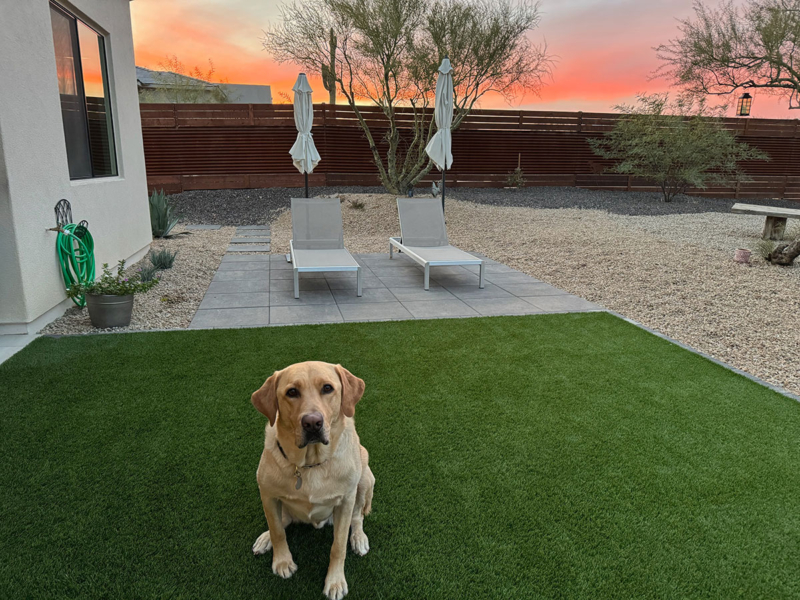 Golden Vale Synthetic Turf®